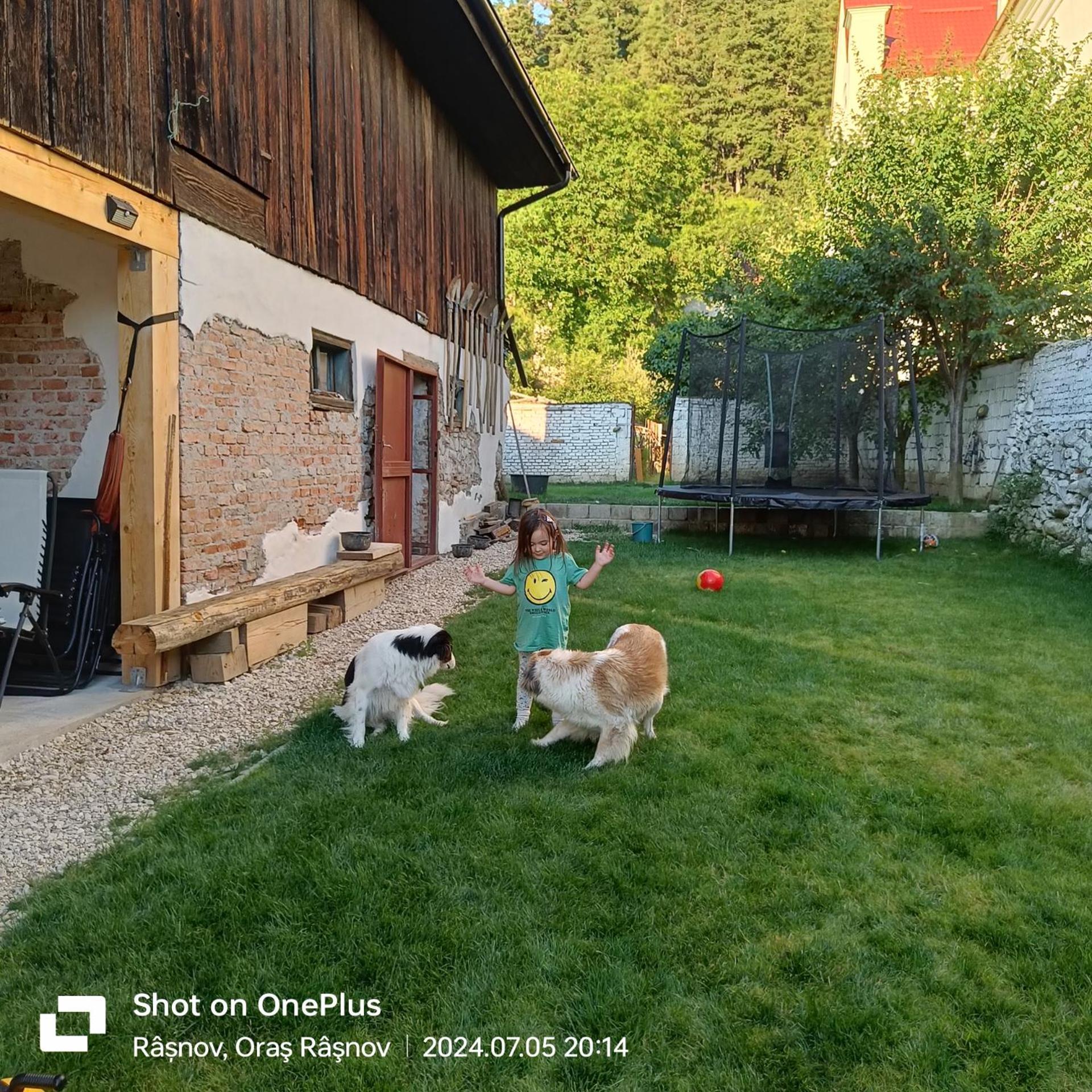 Imperfect House Hotell Rîşnov Eksteriør bilde